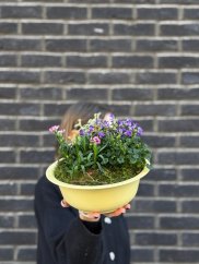 Spring Delight