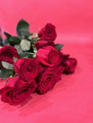 Ruže červené - kusový predaj