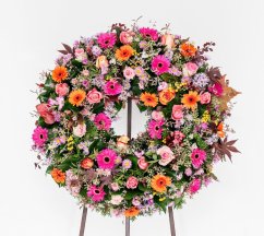 shutterstock 558076648