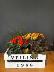 Dušičková aranžmán s chryzantémami, papričkami a tekvičkou v bielej debničke Dušičková aranžmán s chryzantémami, papričkami a tekvičkou v bielej debničke