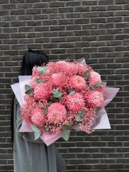 Pink Chrysanthemum Deluxe