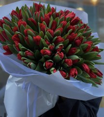 Kytica z červených tulipánov č.4