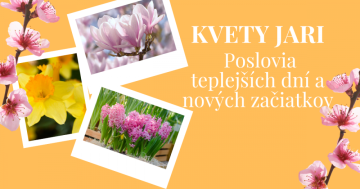 Kvety jari