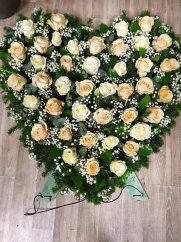 67319878 308520933235971 4631399085092372480 n