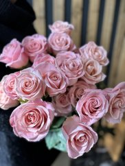 Ruže ružové - kusový predaj