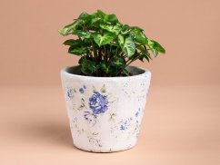 Syringium