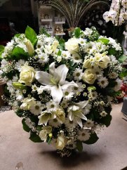 67353587 464494681055698 63026385916002304 n