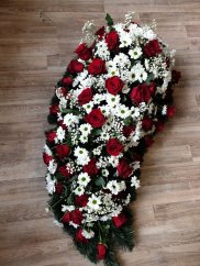 67168604 2291916494237279 900842886092816384 n