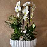 Arrangements and decorations