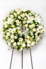shutterstock 1577837665 shutterstock 1577837665