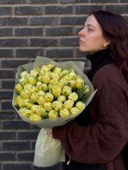 Plnokveté tulipány Harmónia