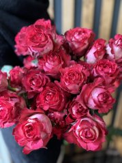 Ruže ružové - kusový predaj