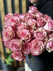 Ruže viacfarebné - kusový predaj