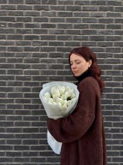 White tulips Pure White