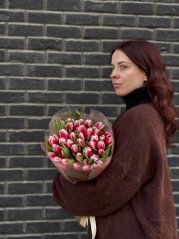 Red-and-white tulips Romantic Glow