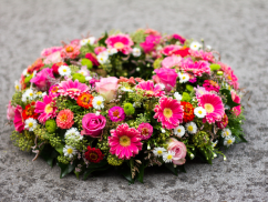 shutterstock 484047103