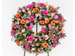 shutterstock 558076648