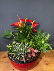 Tropická aranžmán izbových rastlín s anthurium