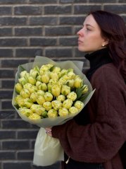 Plnokveté tulipány Harmónia