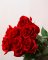Ruže červené - kusový predaj