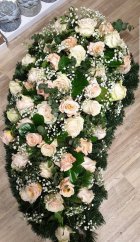 66632687 2267395880046393 3759564159008636928 n